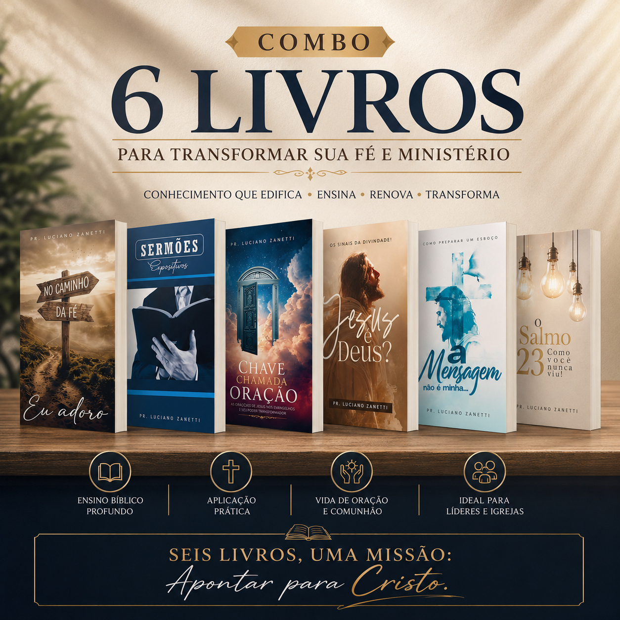 Combo 6 Livros